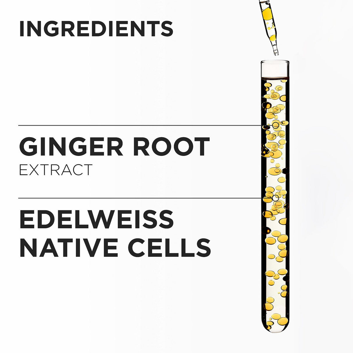 Genesis Bain Nutri-Fortifiant shampoo