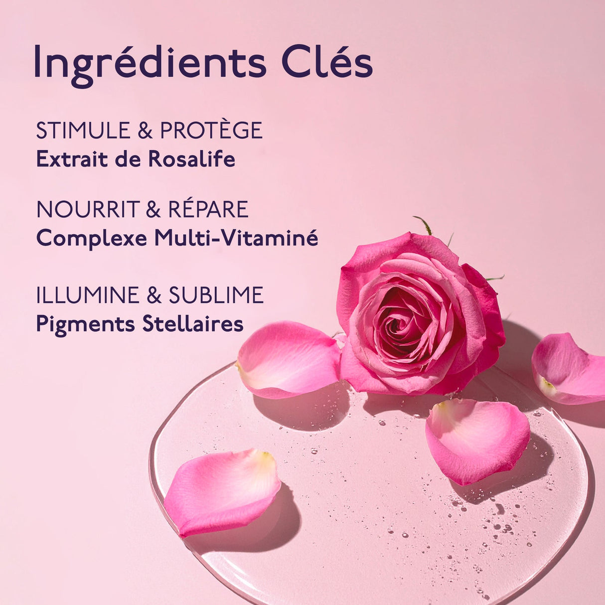 Baume de Rose Lip Oil Serum