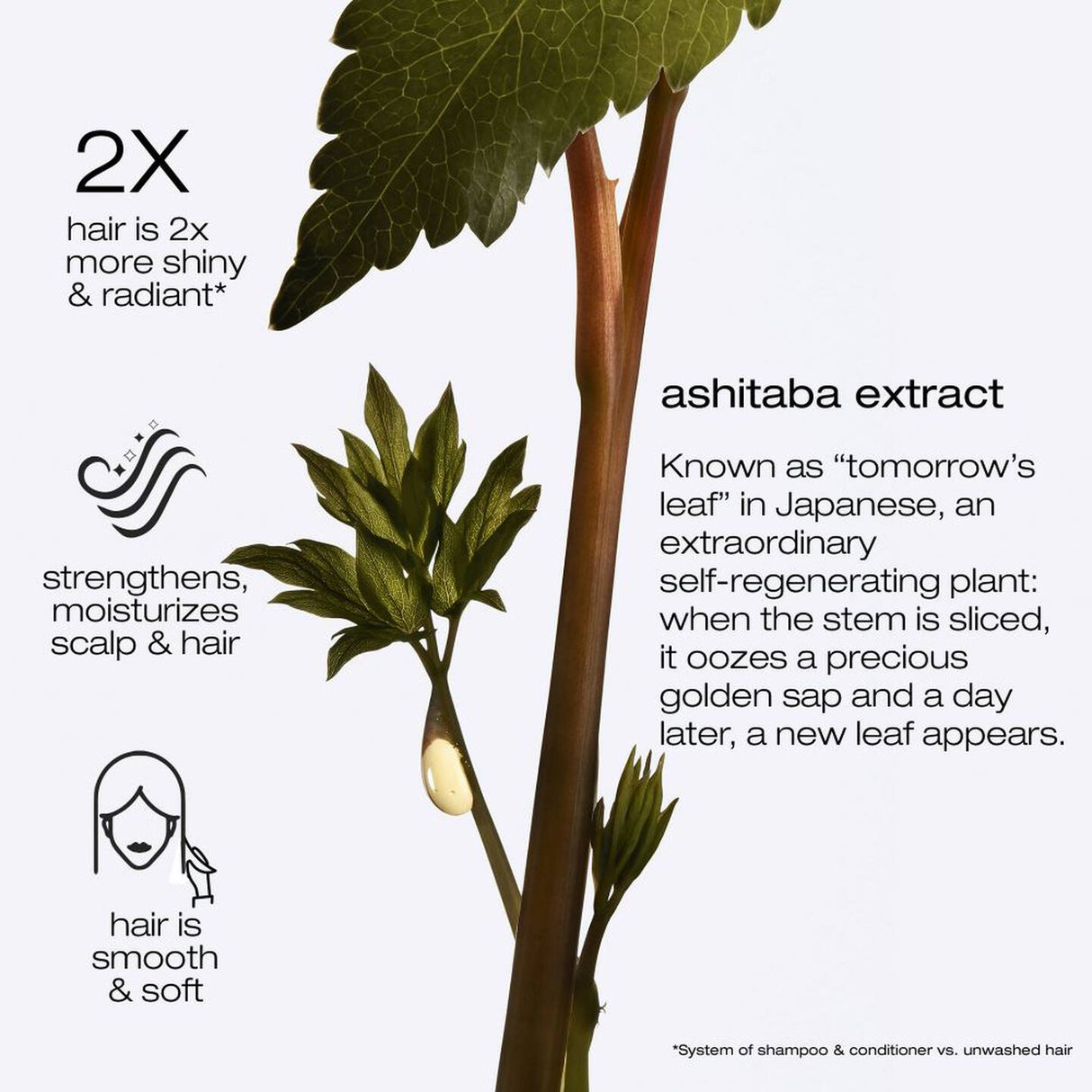 Ashita Supreme Mask 200ml