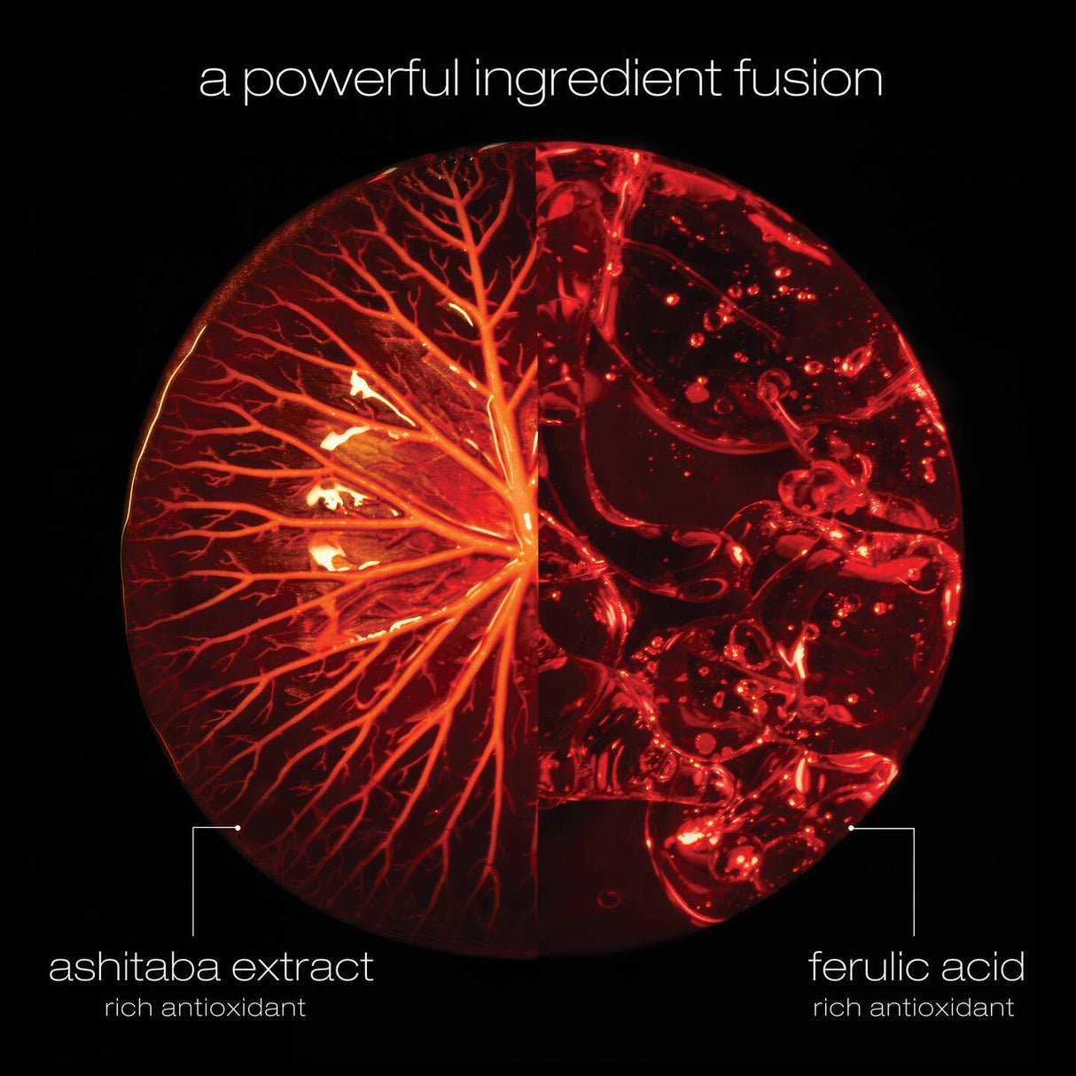 Ashita Supreme Shampoo 300ml