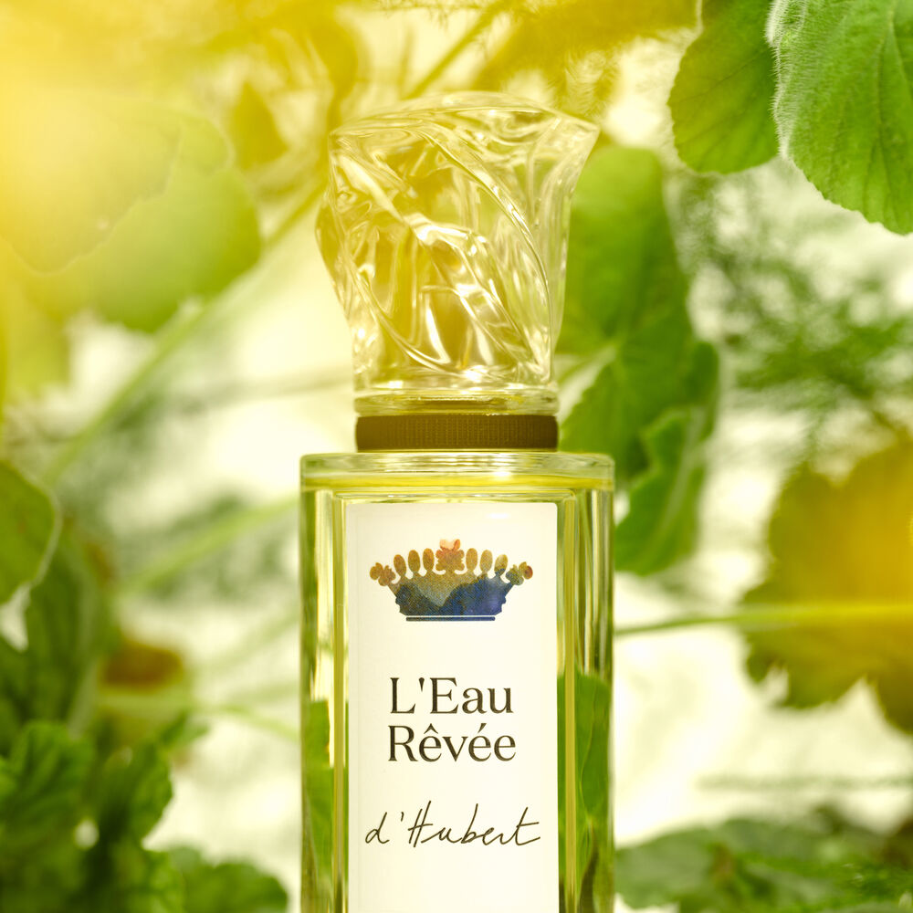 L'Eau Rêvée D'Hubert