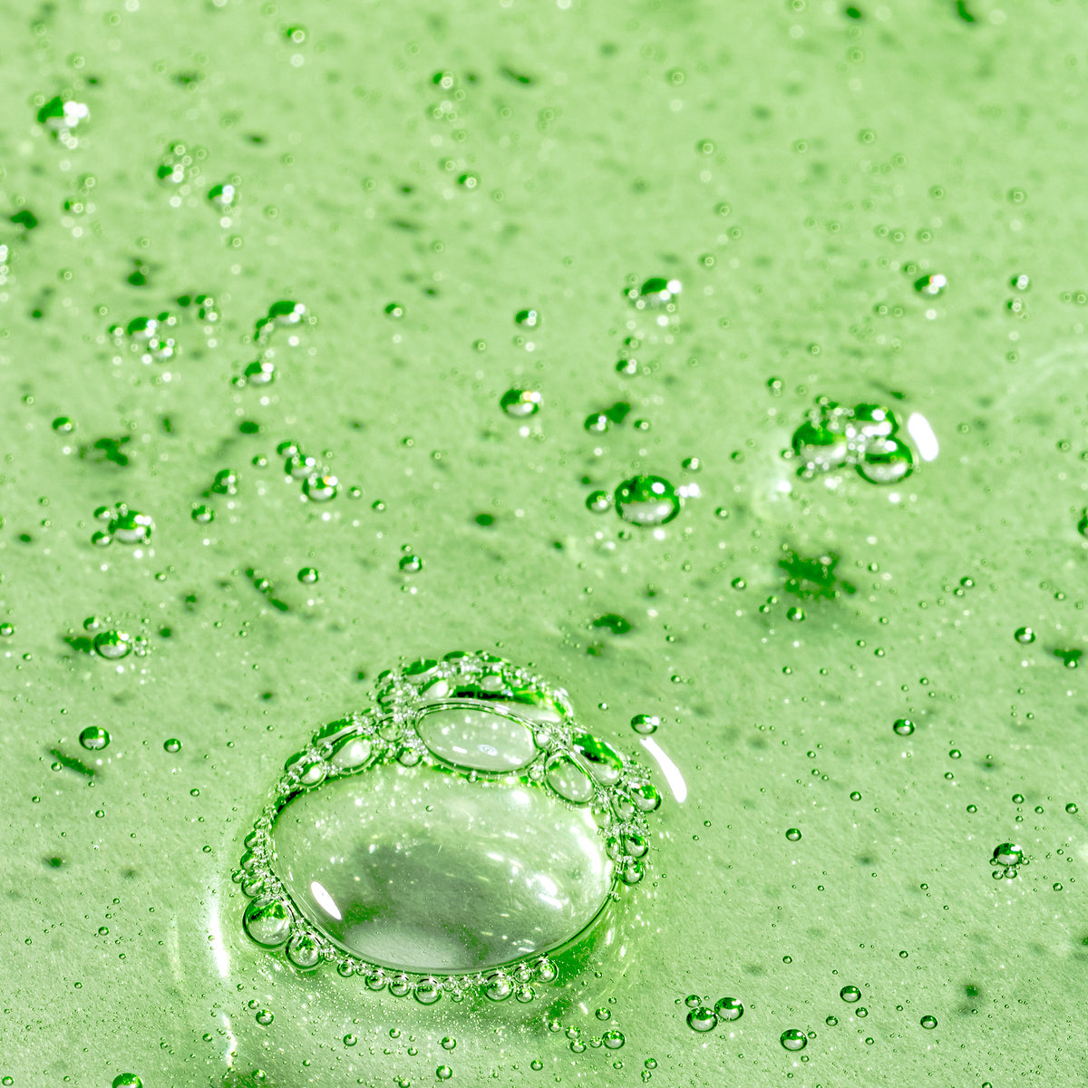 Peppermint Avocado Shampoo