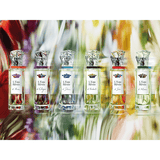 L'Eau Rêvée D'Ikar