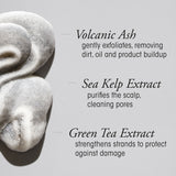 The Cleanse Clarifying Shampoo 200ml
