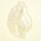 Hair Alchemy Resilience Shampoo 250ml