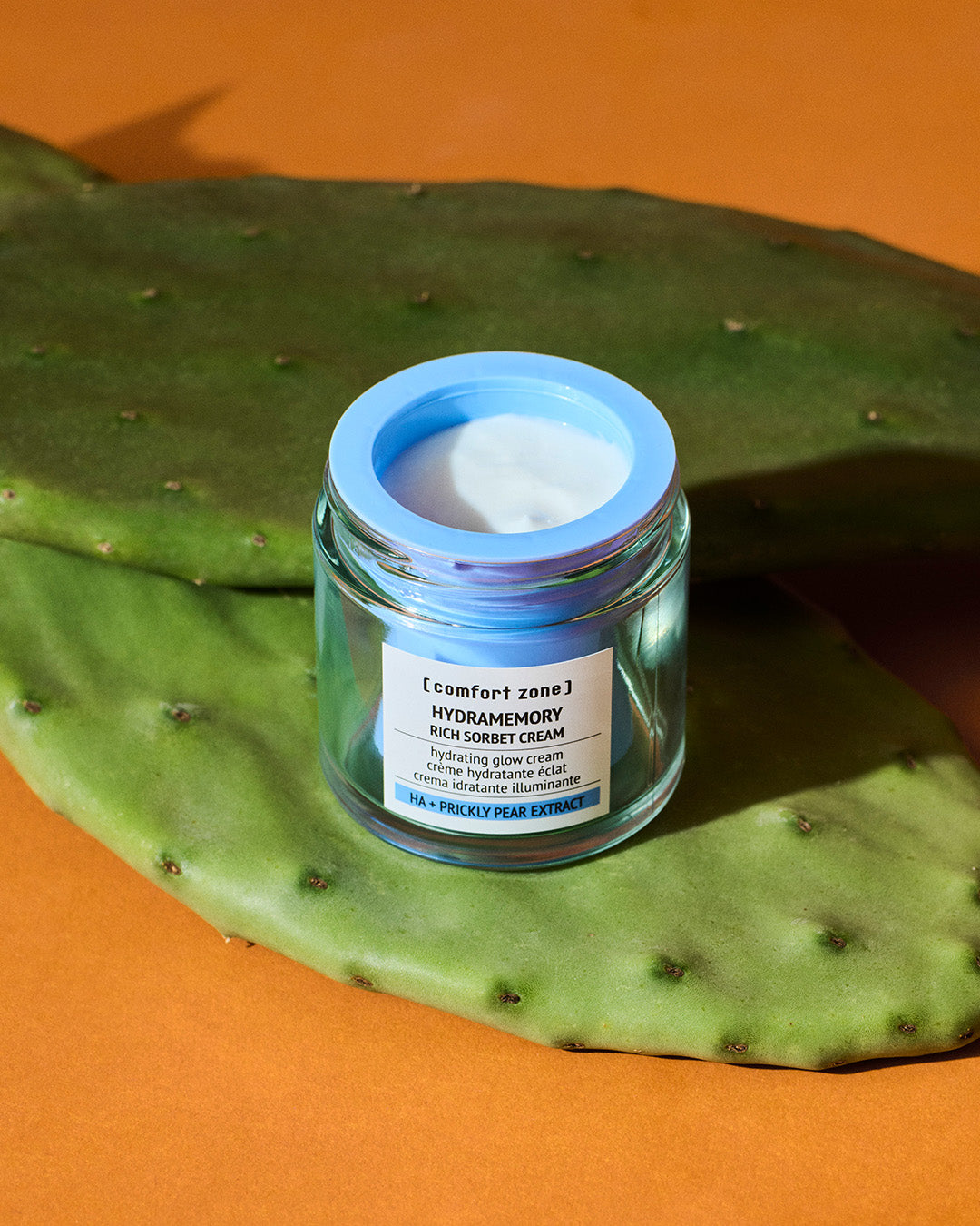 Hydramemory Rich Sorbet Cream 50ml