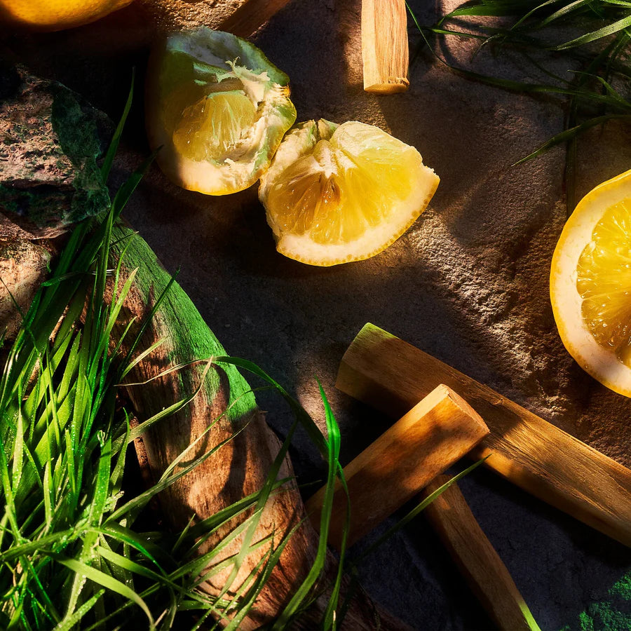 Vetiver Pour Homme Parfum