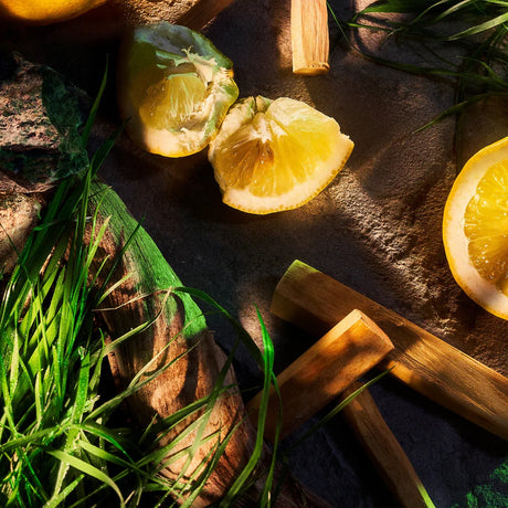 Vetiver Pour Homme Parfum